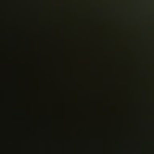 Meet your Posher, Dr. susan